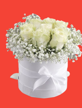 1 DOZEN WHITE ROSES IN ROUND BOX