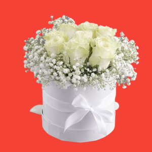 1 DOZEN WHITE ROSES IN ROUND BOX