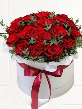 25 RED ROSES & GREENS IN ROUND BOX