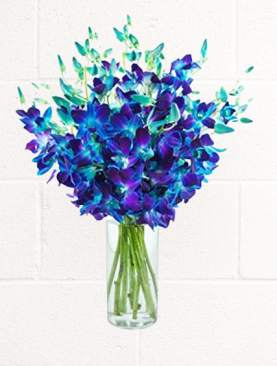 BLUE ORCHID IN GLASS VASE