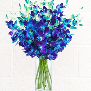 BLUE ORCHIDS IN GLASS VASE