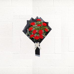 CARNATION-LOVE