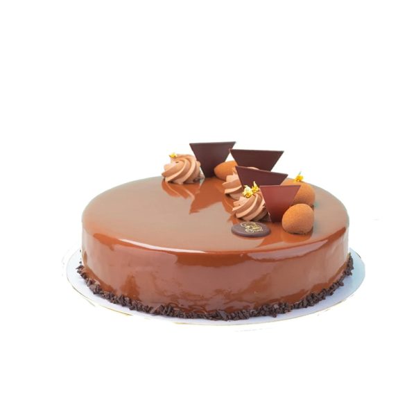 CHOCOLATE-MOUSSE-CAKE-1