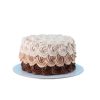 CHOCOLATE-SWIRL-SIGNATURE-CAKE