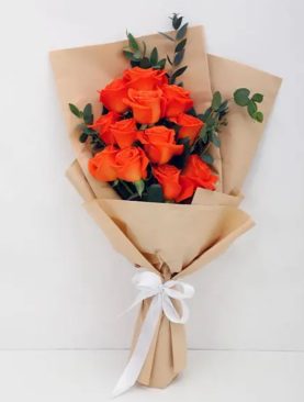 CLASSY ORANGE