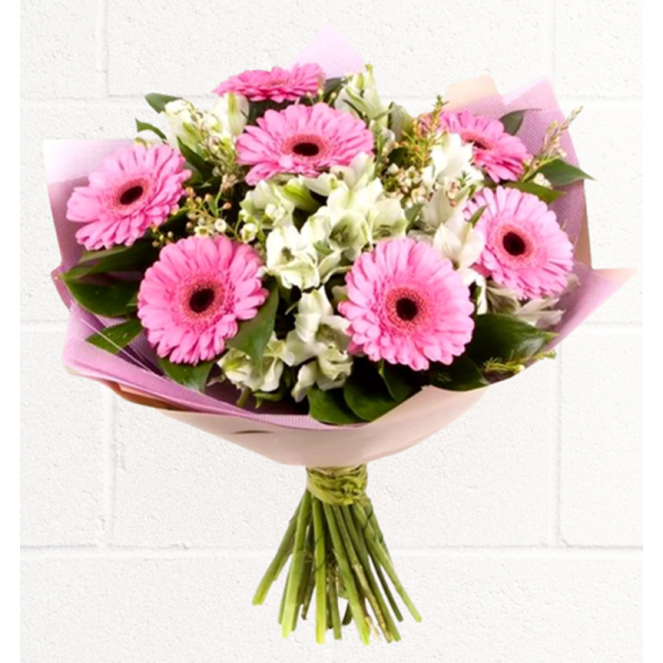 GERBERA-BEAUTY