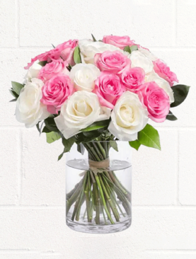PINK & WHITE ROSES IN A VASE