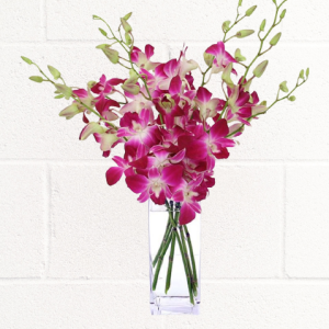 PURPLE ORCHIDS IN GLASS VASE
