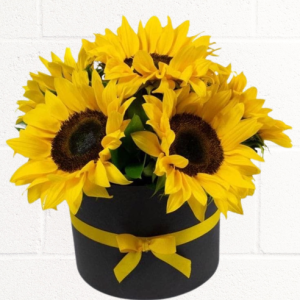 Buy Online Flower Boxes