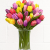 20 Stems
