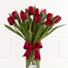 TULIP LOVE