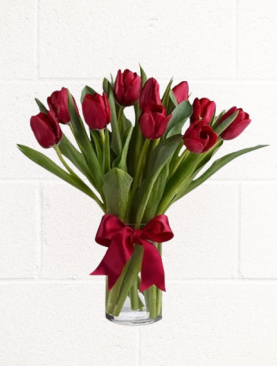 TULIP LOVE