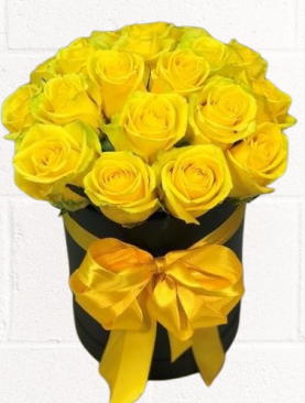 YELLOW DESIRE