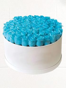 50 Pcs Blue Roses in Round Box