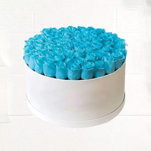 50 Blue Roses in Round Box