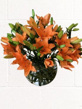 ORANGE LILY ARRANGEMENT