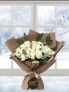 WHITE BEAUTY