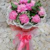 PINK CARNATION BEAUTY
