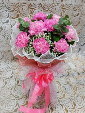 PINK CARNATION BEAUTY