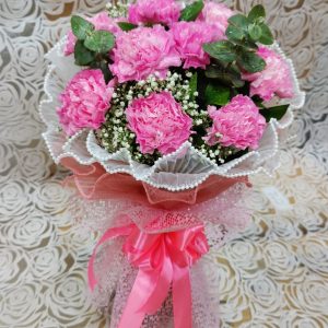 PINK CARNATION BEAUTY