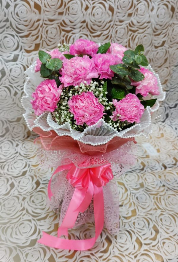 PINK CARNATION BEAUTY