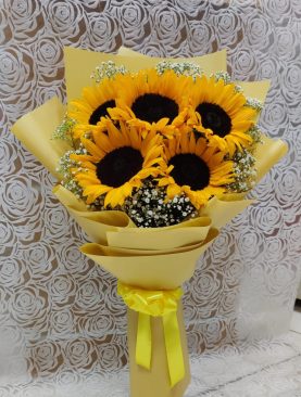 SUNFLOWER MEADOWS