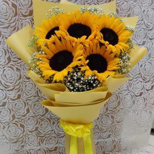 SUNFLOWER MEADOWS