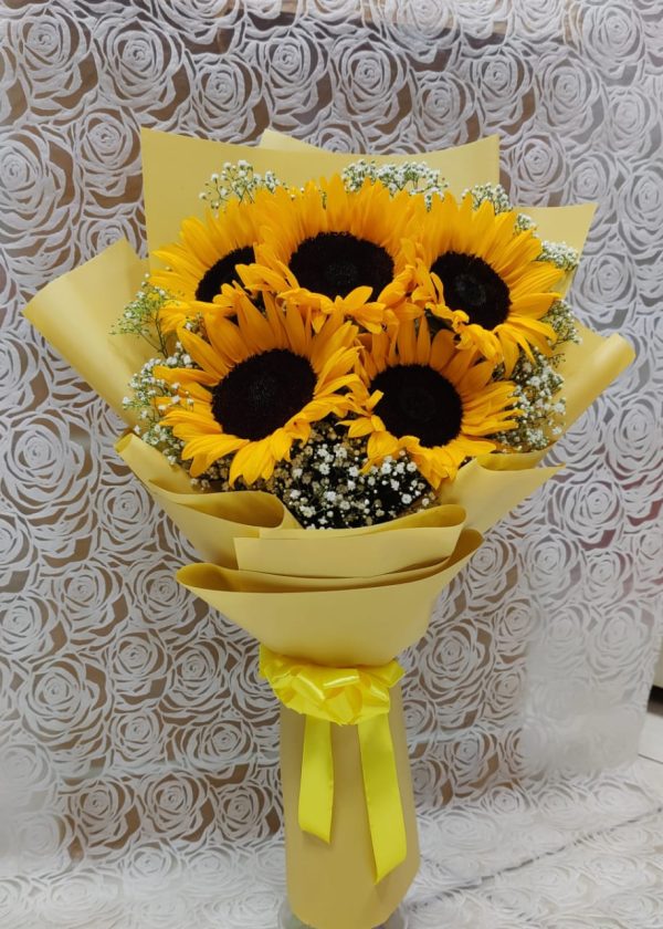SUNFLOWER MEADOWS